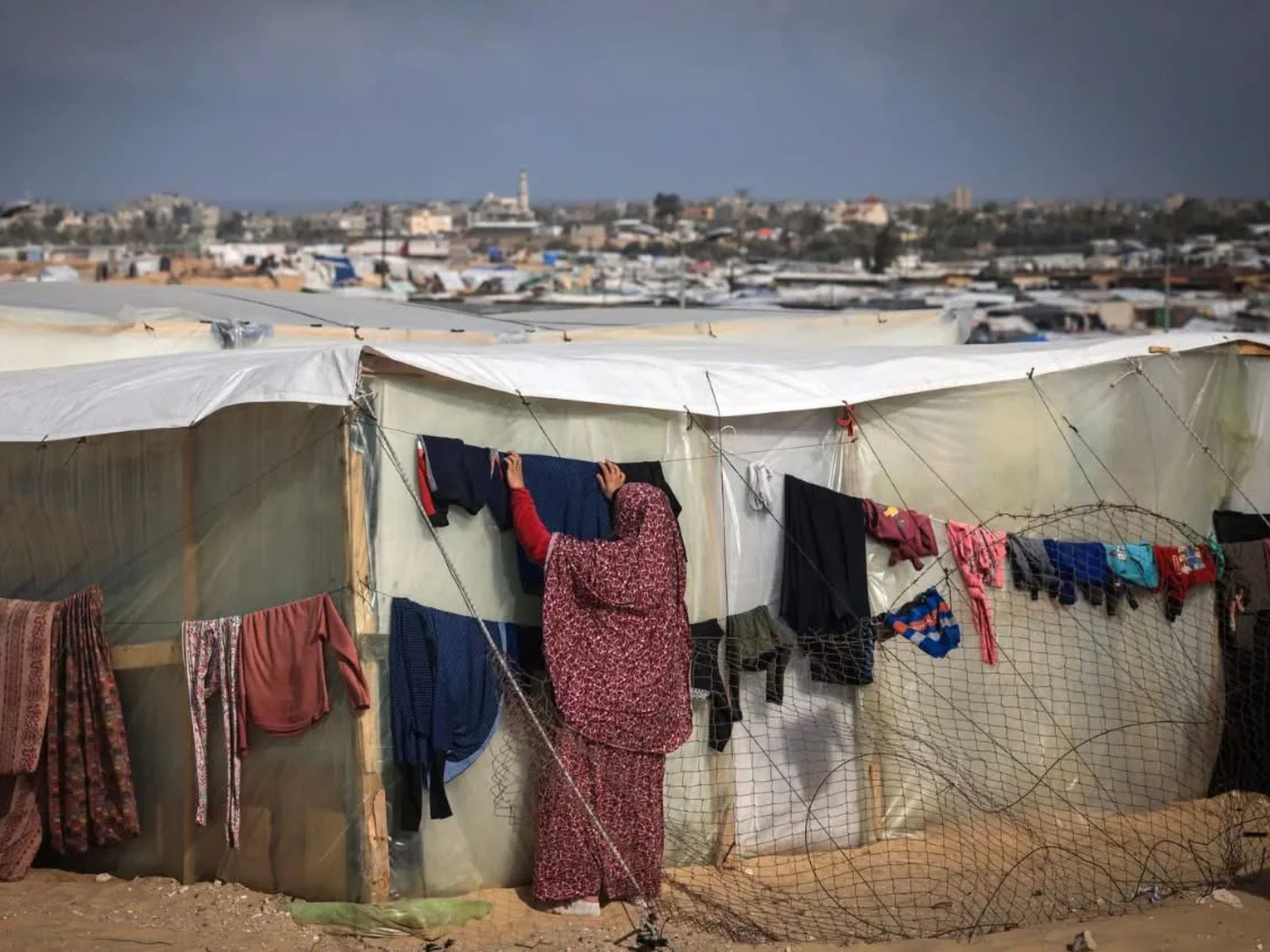 I piccoli mondi di Gaza: Haneen